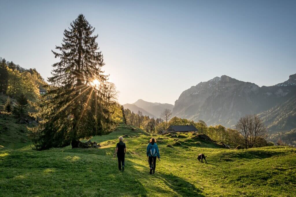 © Nora Fröhlich - Bregenzerwald Tourismus