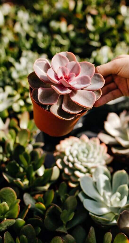 © lookstudio | Freepik