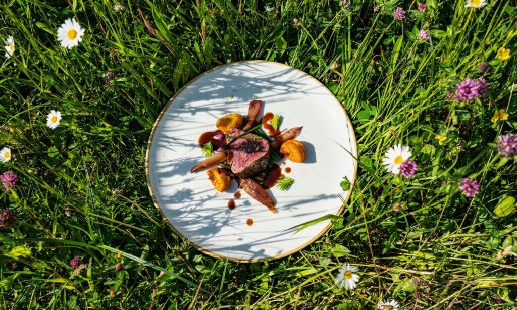 Ein einladend angerichteter Teller steht inmitten einer saftigen Wiese und steht symbolisch für die vielfältige und nachhaltige Küche Bayerns.
