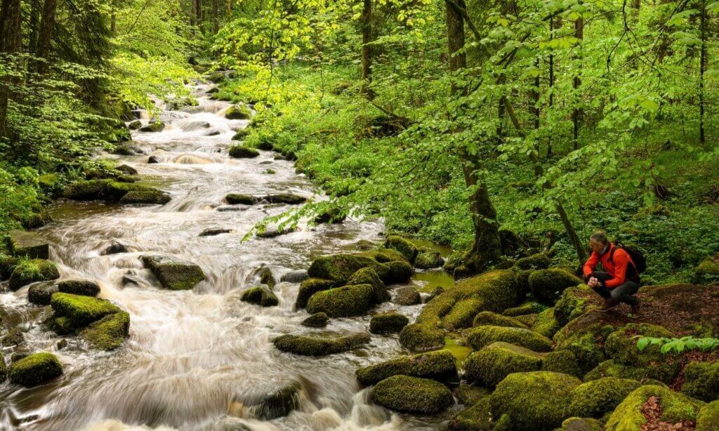 Die Saussbachklamm ist nur eine von zahlreichen Sehenswürdigkeiten entlang des Adalbert-Stifter-Radwegs.