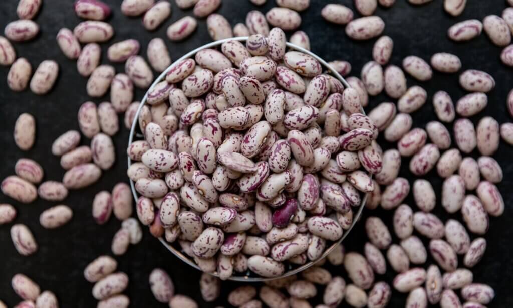 Bohnen sind echte Eiweißpakete. Sie liefern reichlich hochwertiges pflanzliches Protein, das im Körper nicht nur für den Aufbau und Erhalt der Muskulatur wichtig ist, sondern auch für Hormone, Enzyme und zahlreiche Stoffwechselprozesse.