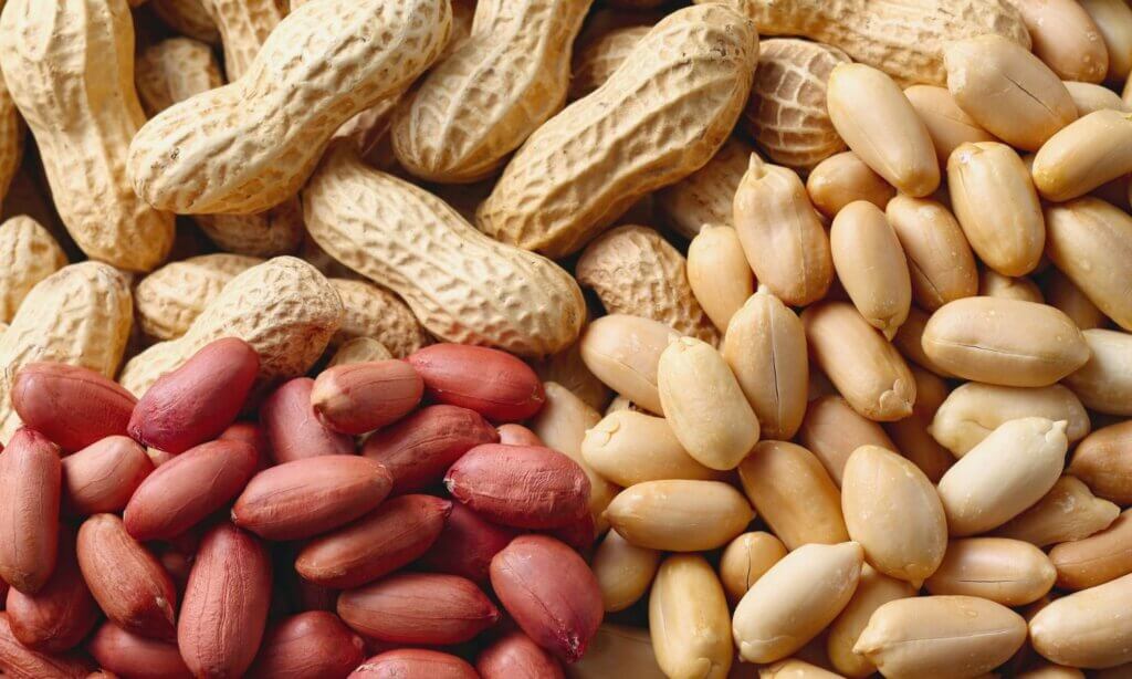 Erdnüsse sind überraschenderweise keine echten Nüsse, sondern Hülsenfrüchte. 