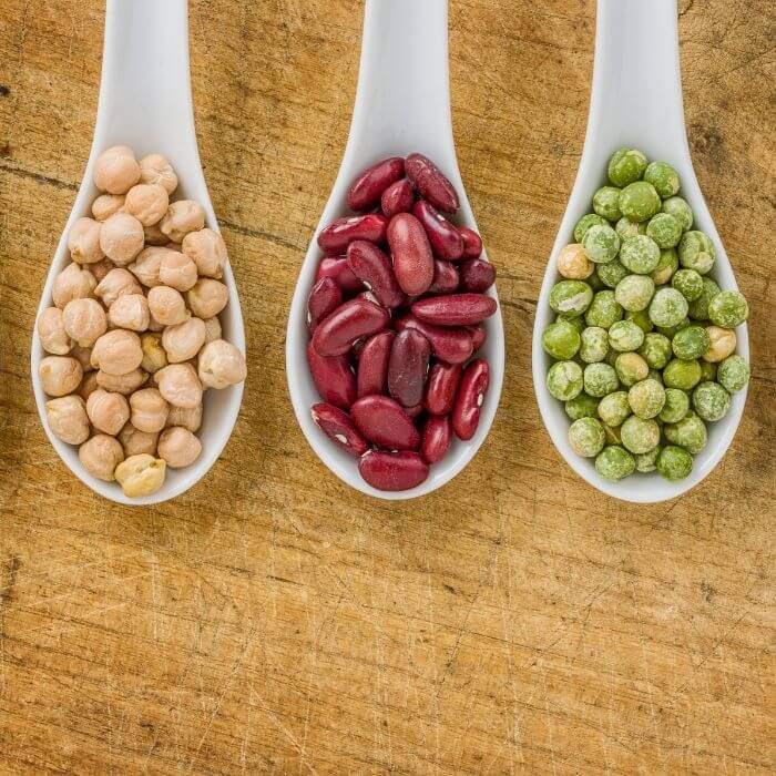 Hülsenfrüchte in unterschiedlichen Farben und Formen auf Keramiklöffeln. 
