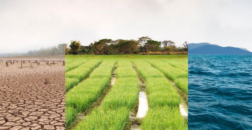 Ein Bild das stellvertretend für die Klimakompetenz der MTD-Berufe steht – das Thema des diesjährigen MTD-Forums.