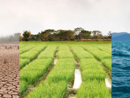 Ein Bild das stellvertretend für die Klimakompetenz der MTD-Berufe steht – das Thema des diesjährigen MTD-Forums.