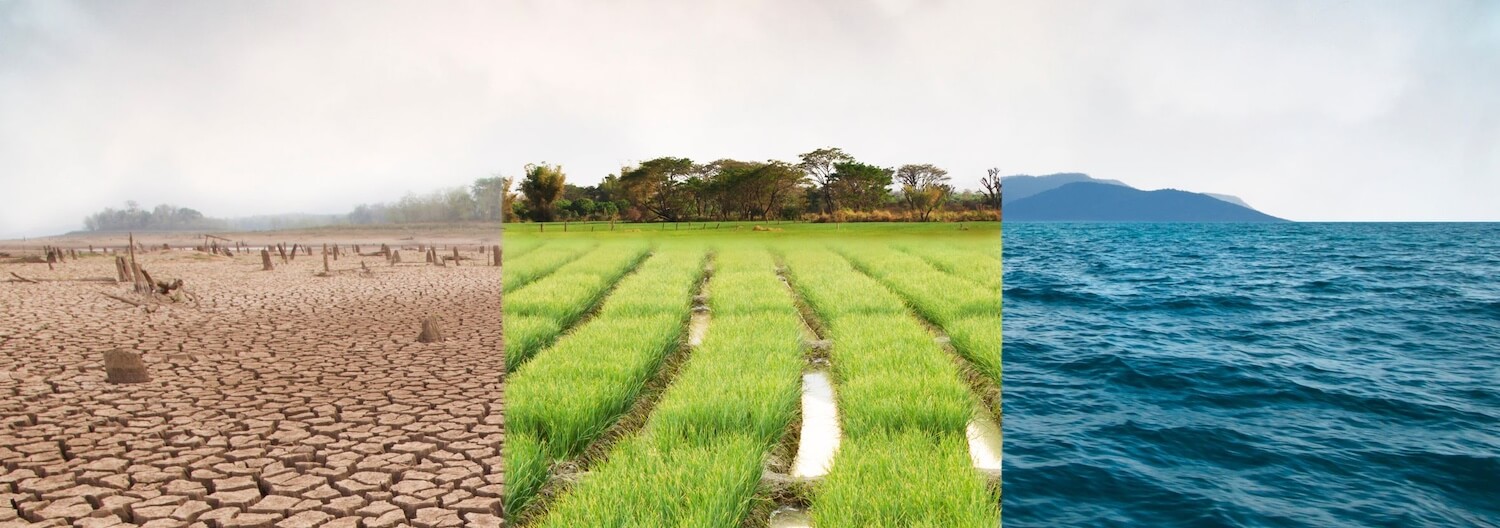 Ein Bild das stellvertretend für die Klimakompetenz der MTD-Berufe steht – das Thema des diesjährigen MTD-Forums.