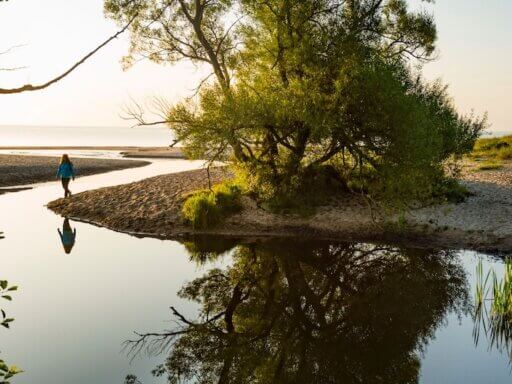 Skåne ist ein Paradies für Wanderer und Radfahrer.