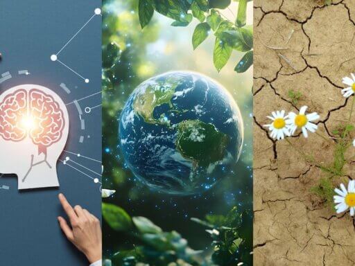 Digitalisierung, KI, Nachhaltigkeit und Co.: Mit diesen fünf Weiterbildungsthemen sollten sich TherapeutInnen 2026 auseinandersetzen, um fachlich, mental und strukturell gut aufgestellt zu sein.