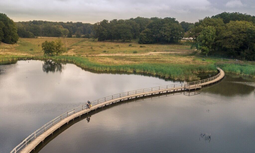 Für alle, die lieber im Inland unterwegs sind, bietet der Cykelleden Skåne ein vielseitiges Netzwerk mit circa 570 Kilometern in insgesamt 22 Abschnitten. 