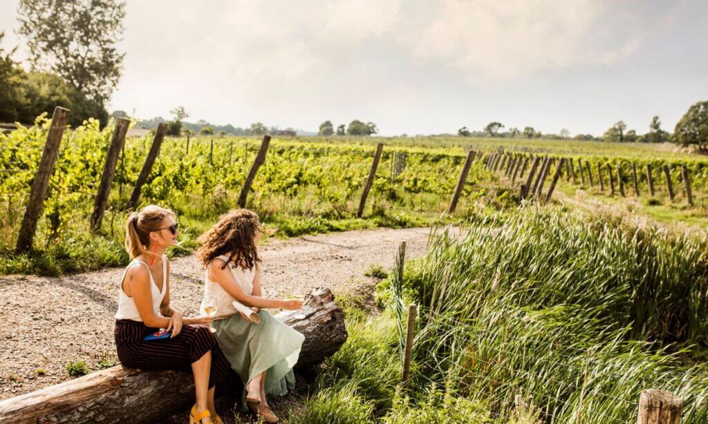 Was viele überrascht: Skåne ist Schwedens wichtigste Weinregion.