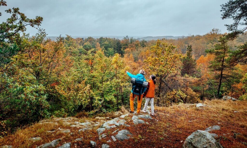 Skåne ist ein Paradies für alle Wanderbegeisterten – von gemütlichen Tagestouren bis zu langen Etappen durch Wälder, an Küsten entlang und über sanfte Hügel. 