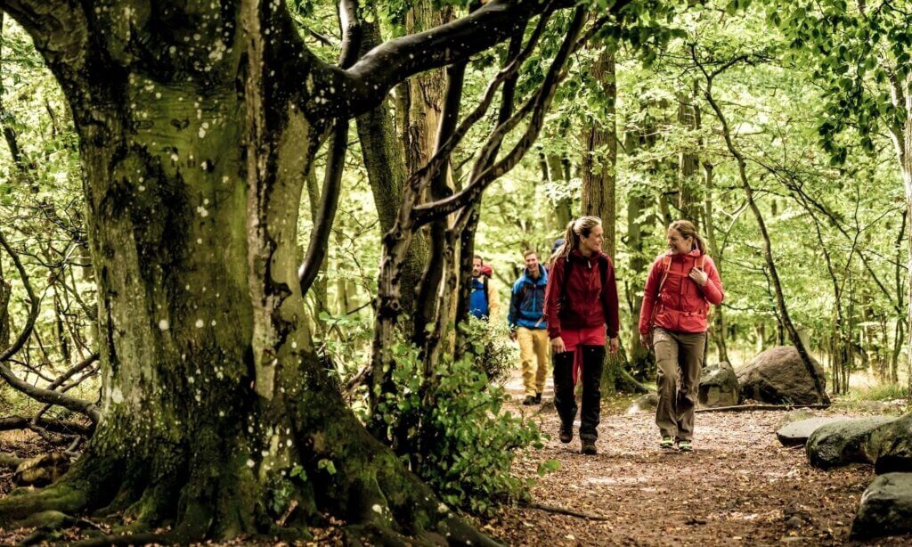Etwas waldiger und mit historischem Flair präsentiert sich diese mittlere Wanderung über sanfte Hügel und alte Snapphane-Marken.