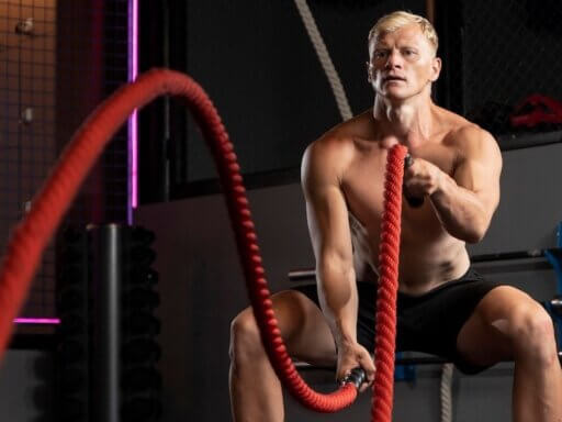 Wie du Muskelaufbau, Ausdauer und Regeneration systematisch entwickelst – evidenzbasiert und praxisnah erklärt.