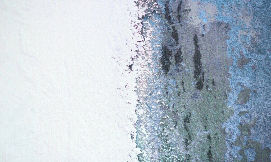 Odd Couple Collabs bedeutet, mit Akteuren zu kooperieren, die man vielleicht nicht auf den ersten Blick mit dir in Verbindung bringen würde.