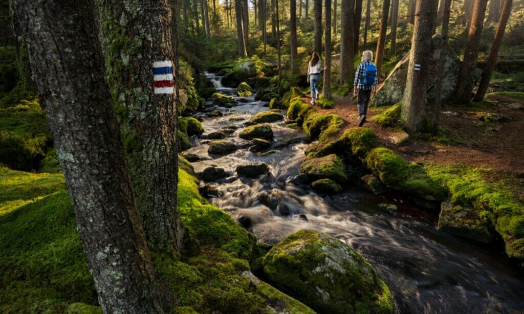 Pilsen und Südböhmen bieten eine außergewöhnliche Wandervielfalt – von leichten Teichlandschaft-Spaziergängen über historische Kulturwege bis hin zu anspruchsvollen Gebirgstouren im Böhmerwald.