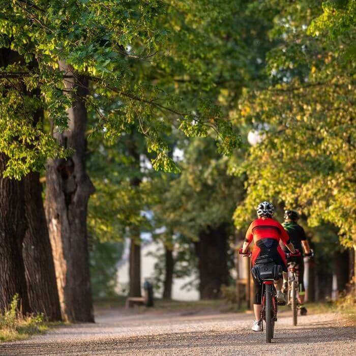 Diese Route umrundet den Rosenberg-Weiher, der mit 489 Hektar der größte Teich Mitteleuropas ist und gerne „Südböhmisches Meer" genannt wird. 