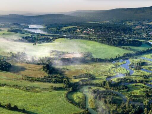 Im zweiten Teil nehmen wir dich mit auf Wanderwege durch den Böhmerwald, entlang der Moldau auf dem Rad und in die lebhaften Städte der Region – und verraten dir, wo du regional, saisonal und mit echtem böhmischen Charakter speisen kannst.