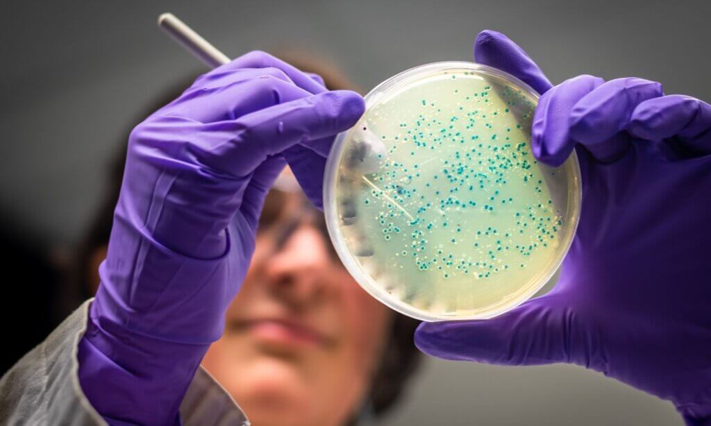 Madeline Bartsch, MSc eröffnete ihren Vortrag mit einem Fallbeispiel: Eine Klientin bringt einen 12-seitigen kommerziellen Mikrobiombefund mit – die entscheidende Frage: Was bedeutet das für die Beratungspraxis?