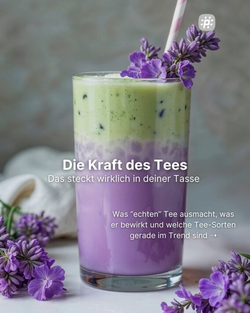 Vom alten China bis zum Ube Latte: Erfahre alles über die Geschichte des Tees, seine gesundheitlichen Wirkungen, die verschiedenen Sorten – und warum Kräutertee eigentlich kein Tee ist.