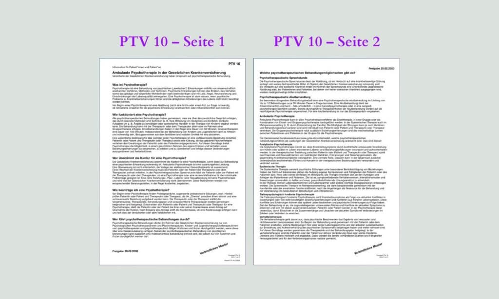 Muster des Infoblattes PTV 10