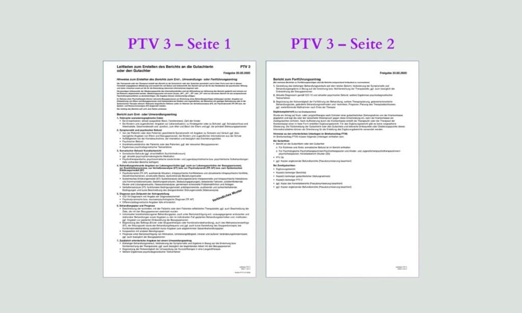 Muster zum Leitfaden PTV 3