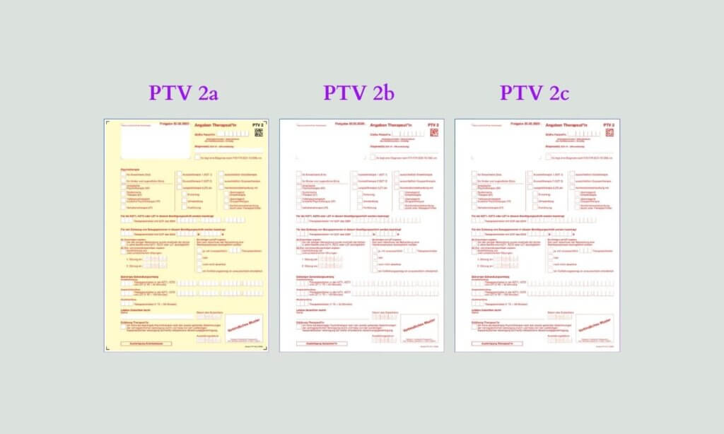 Prozess zum Formular PTV 2