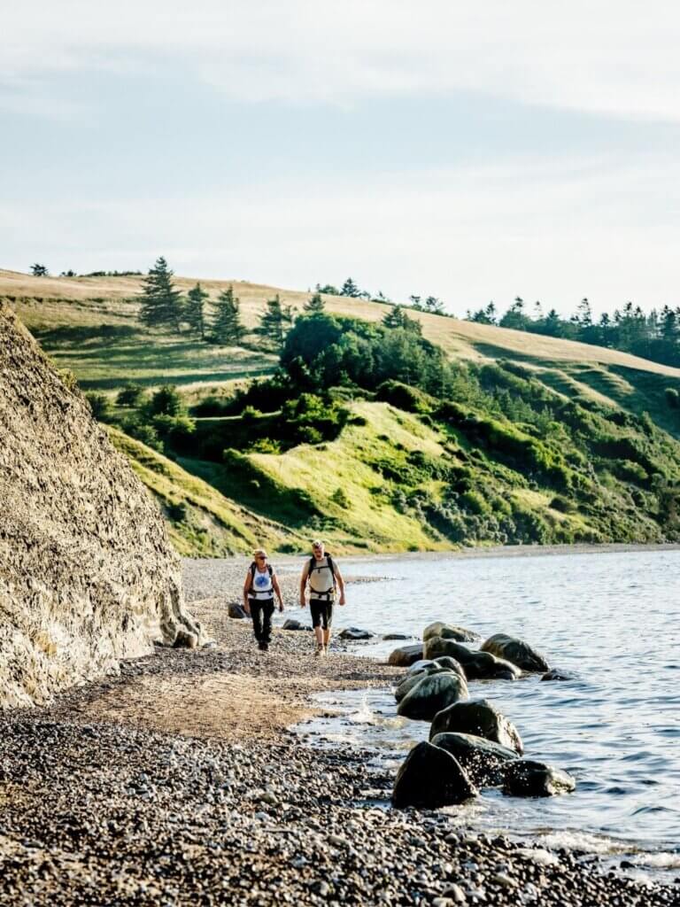 Wandern wird in Dänemark gerne unterschätzt. Zugegeben, alpine Gipfel wirst du nicht finden, dafür aber wilde Dünenlandschaften, endlose Sandstrände und Heidegebiete, die zu stundenlangen Spaziergängen einladen. 
