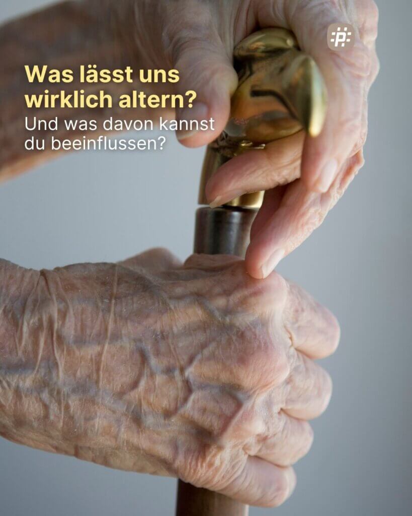Was verlangsamt den Alterungsprozess wirklich – und was ist nur Longevity-Marketing? Die Grazer Zellbiologin Corina Madreiter-Sokolowski erklärt, was unsere Zellen altern lässt und wie wir unsere gesunde Lebensspanne verlängern können.