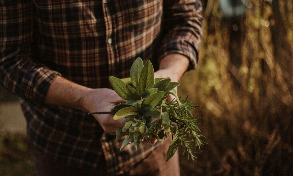 Kaum ein Thema verbindet Küche, Garten und Medizin so selbstverständlich wie die Kräuterheilkunde. Was heute oft neu verpackt und z. B. als „Superfood“ vermarktet wird, ist in Wahrheit eine der ältesten Gesundheitspraktiken der Menschheit überhaupt – älter sogar als die Schrift.