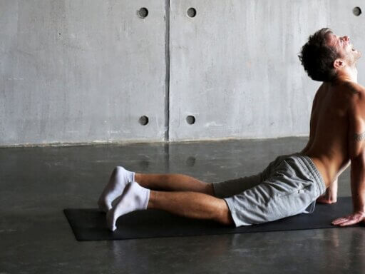 Sportwissenschaft und Fitness: Fachwissen, Trainingsimpulse und Inspiration für deine Arbeit mit KundInnen und PatientInnen.