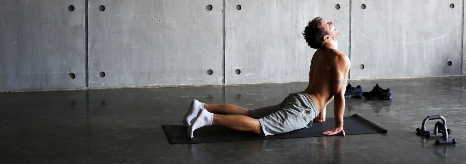 Sportwissenschaft und Fitness: Fachwissen, Trainingsimpulse und Inspiration für deine Arbeit mit KundInnen und PatientInnen.