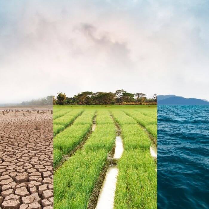 Das 14. MTD-Forum 2025 zeigte, dass die sieben MTD-Berufe eine zentrale Rolle im Umgang mit den Gesundheitsfolgen des Klimawandels spielen können.