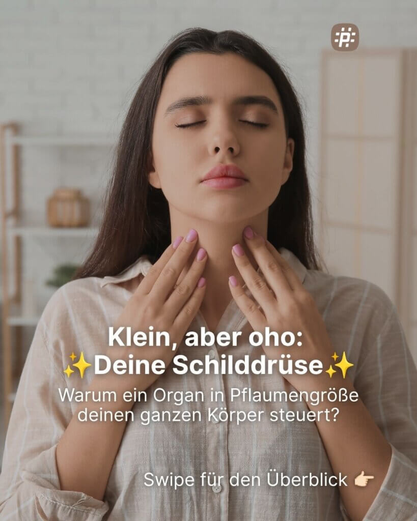 Die Schilddrüse: Sie wiegt kaum mehr als ein Briefumschlag, steuert aber vom Herzschlag bis zur Stimmung erstaunlich viel: Was du über die Schilddrüse wissen solltest.